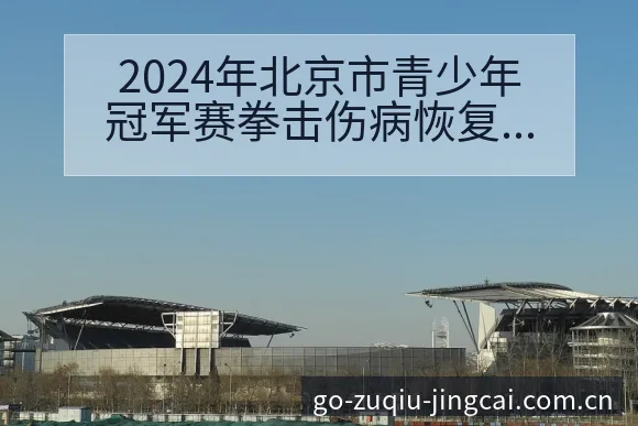 2024年北京市青少年冠军赛拳击伤病恢复对赛程影响数据 - 足球比分直播