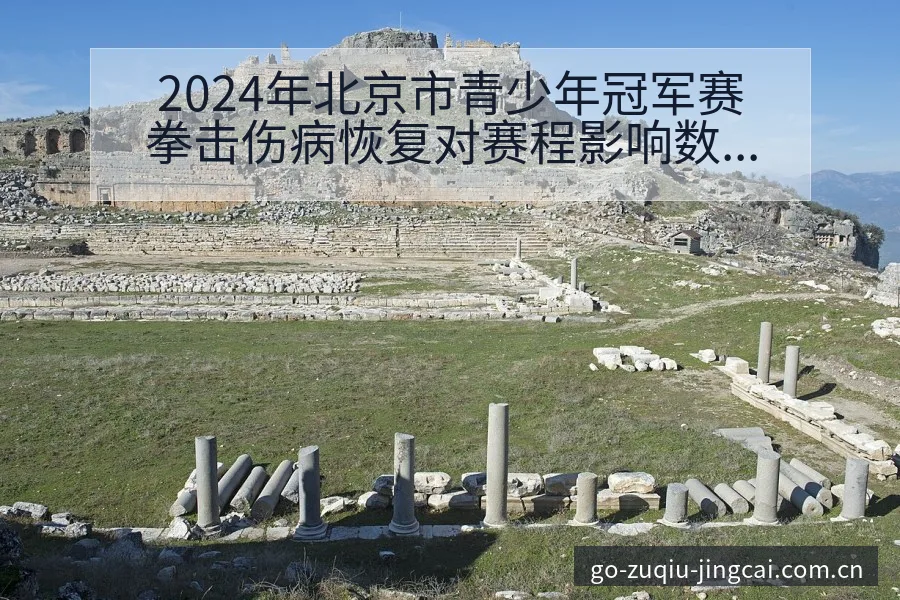 2024年北京市青少年冠军赛拳击伤病恢复对赛程影响数据 - 足球比分直播
